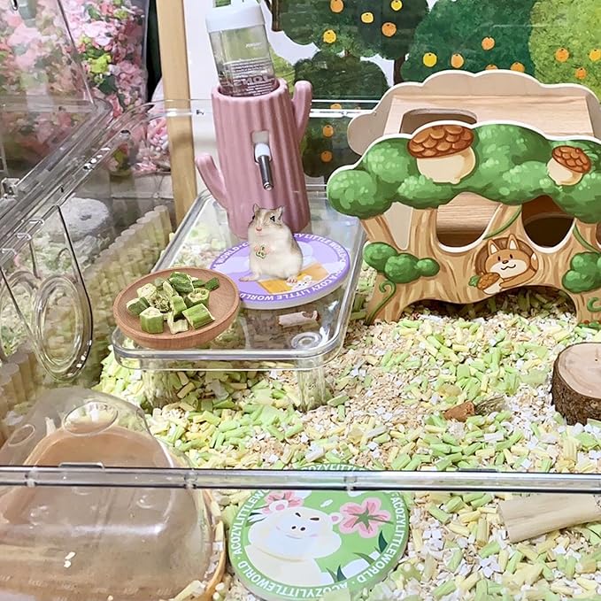 Hamster Snack & Treats