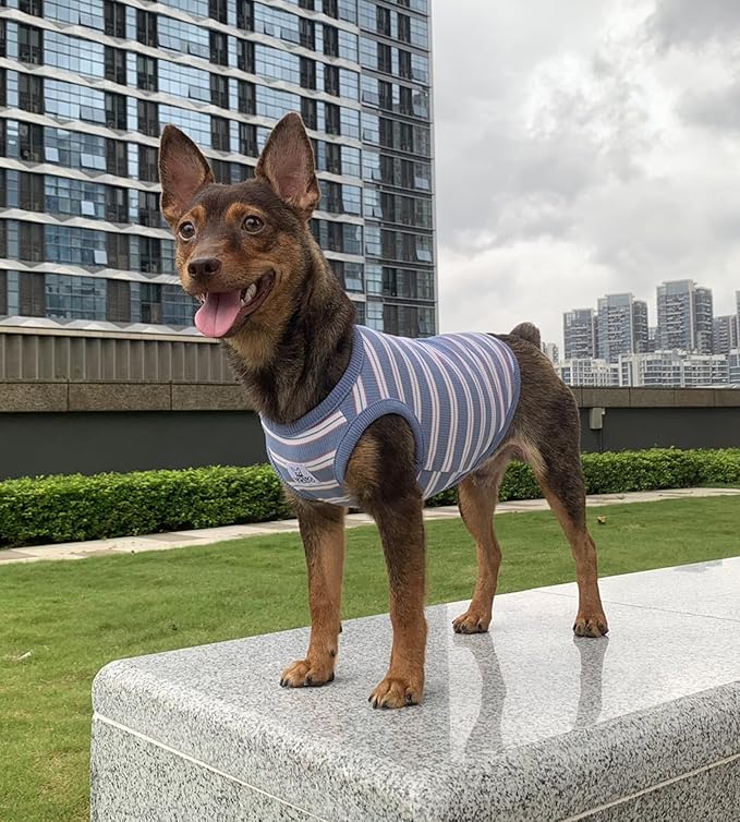 YQYS Dog Shirts Multi-Color Striped Cotton Vest for Small Dogs and Cats Puppy Clothes Teacup Dog Clothing Tank Top for Chihuahua Miniature Pinscher Blue Large
