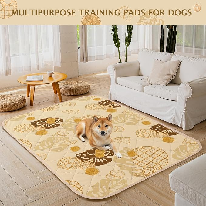 IEUUMLER Washable Pee Pads for Dogs 1 Pack EU007 (Yellow 48"X48"-1pcs)