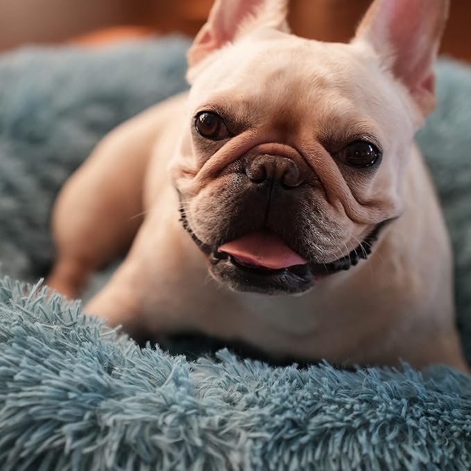 Blue Dog Bed for Small Dogs Fluffy Anti-Anxiety Dog Bed