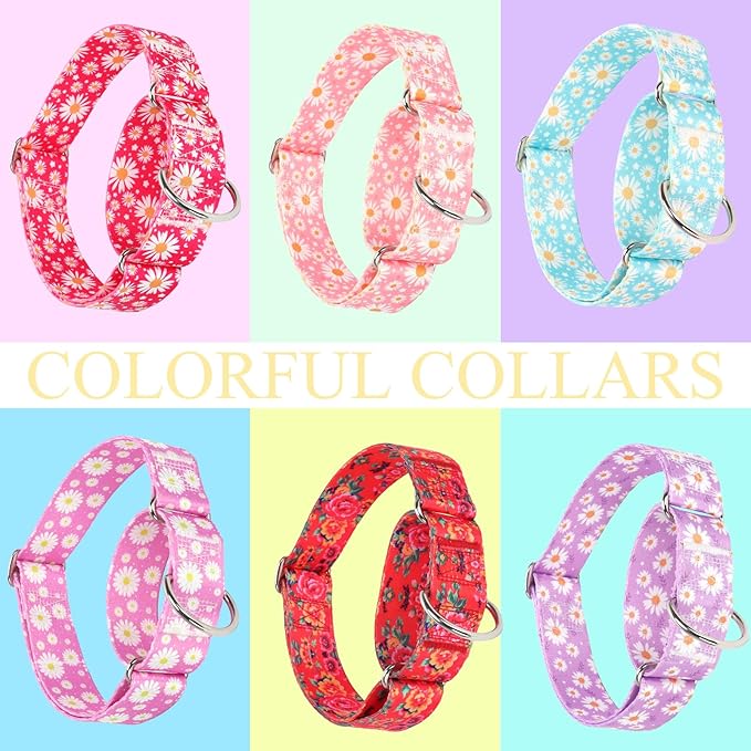 Martingale Collar 1.5 Inches Wide Dog Collar