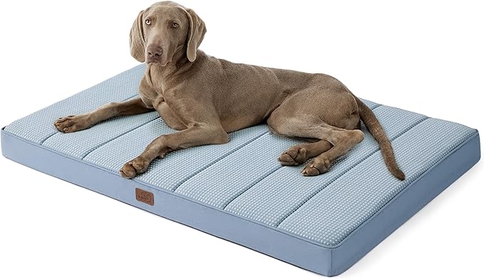 Bedsure Cooling Gel Foam Dog Bed for Large Dogs Cover(41"x29", Blue)