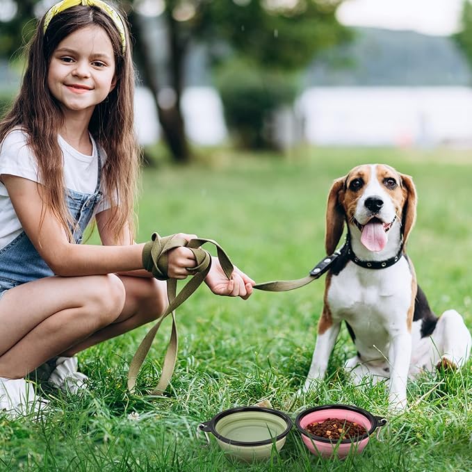 Dog Bowl Pet Collapsible Bowls 2 Pack 2 Carabiners