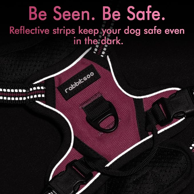 rabbitgoo Dog Harness 2 Leash