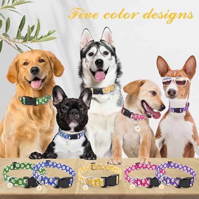 BiPawTi Dog Collars