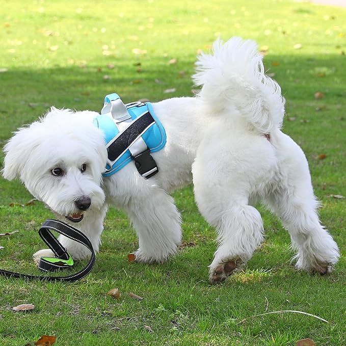 Bolux Dog Harness 1))