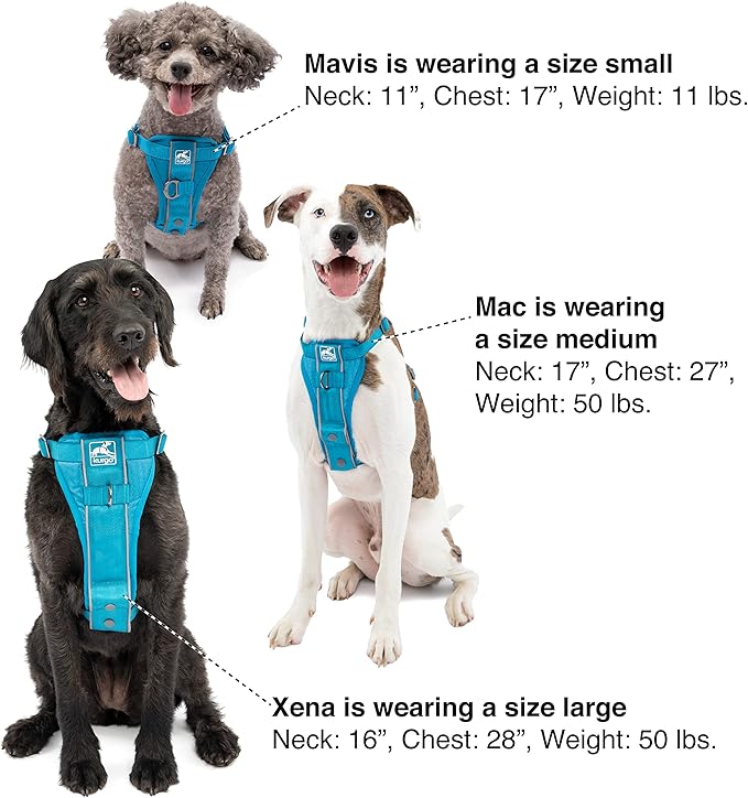 Kurgo Tru-Fit Smart Harness