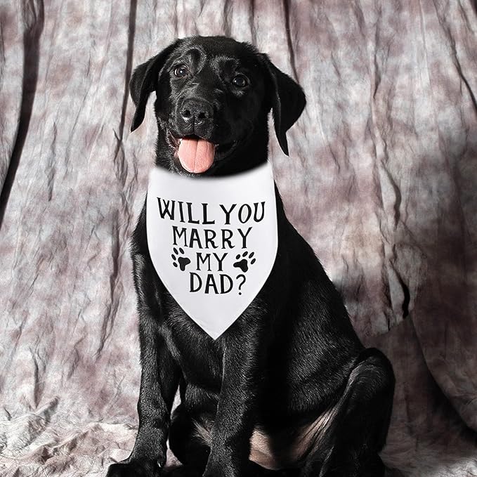 PET SHOW 50pcs Bulk Blank White Small Dog