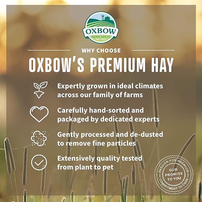 Oxbow Animal Health Alfalfa Hay 15 Ounce