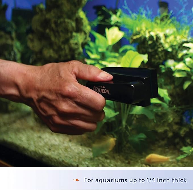 Aqueon Aquarium Algae Cleaning Magnets Glass/Acrylic