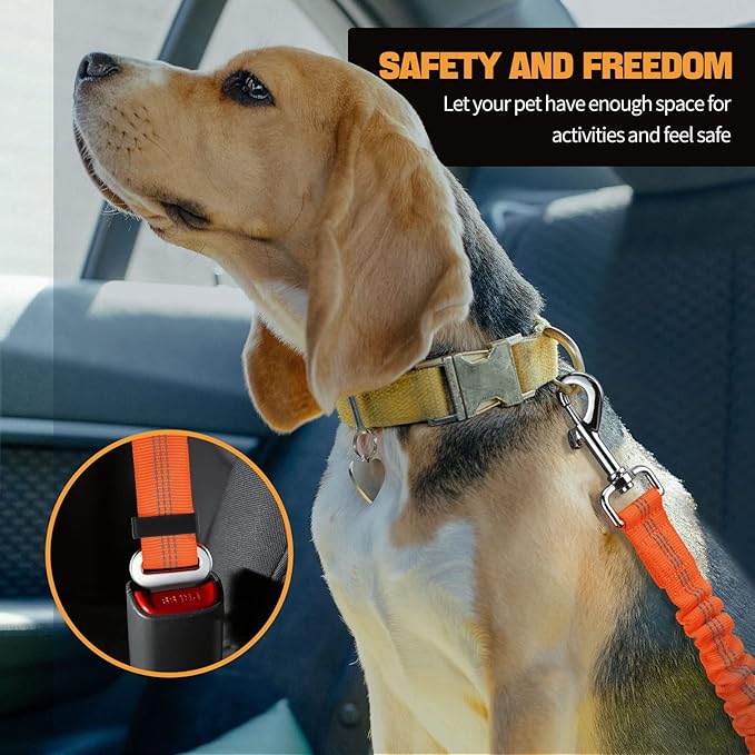 Dog Seat Belt