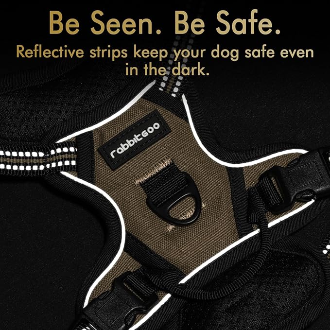 rabbitgoo Dog Harness 2 Leash