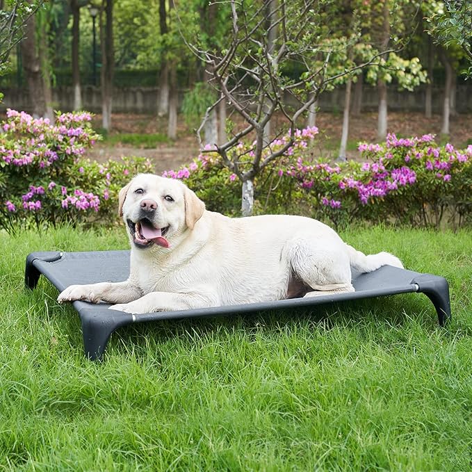 Elevated Dog Bed for Large Dogs 150lbs, Durable