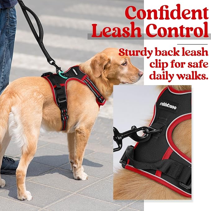 rabbitgoo Dog Harness 2 Leash