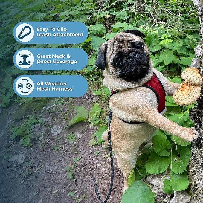 Voyager Step-in Air Dog Harness 20.5-23")