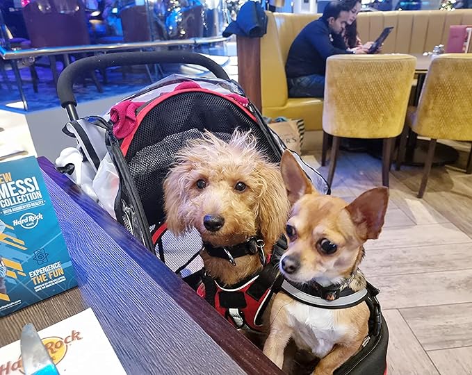 ROODO Escort 3Wheel Dog Stroller Pet Strollers Small