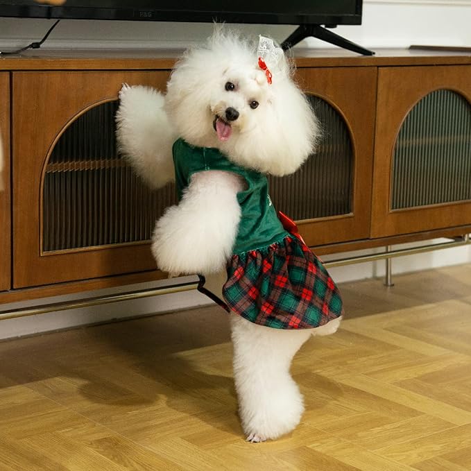 CuteBone Christmas Tree Dog Dress Velvet for Small Dogs Girl Puppy Dresses Green Plaid Dog Clothes CVA05M-D