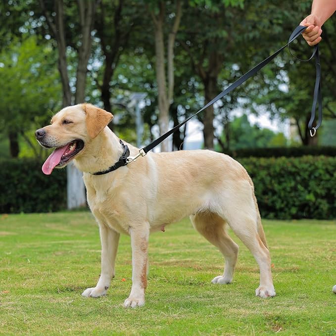 Waterproof Dog Collar 11.8-18.5 inch)