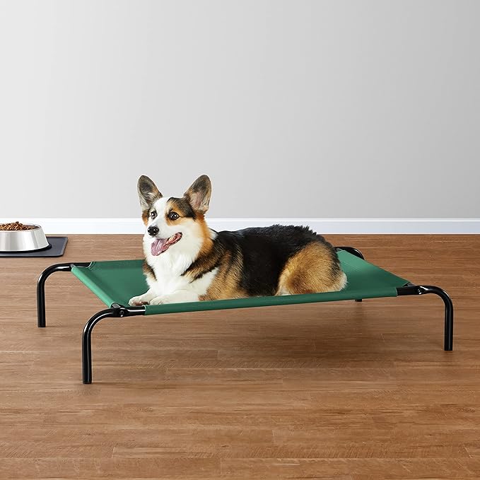 Amazon Basics Cooling Elevated Dog Bed with Metal Frame 43"L x 25.6"W x 7.5"Th, Green