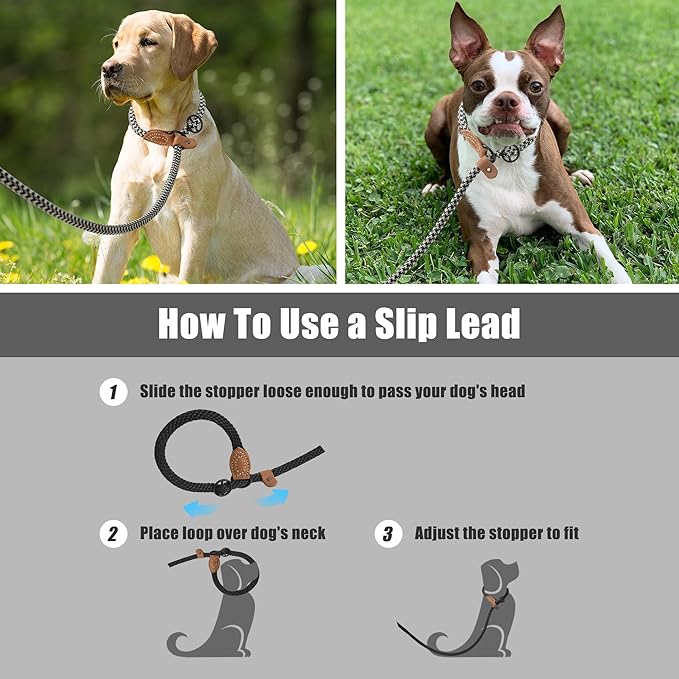Mile High Life Slip Leads for Dogs 6 Feet