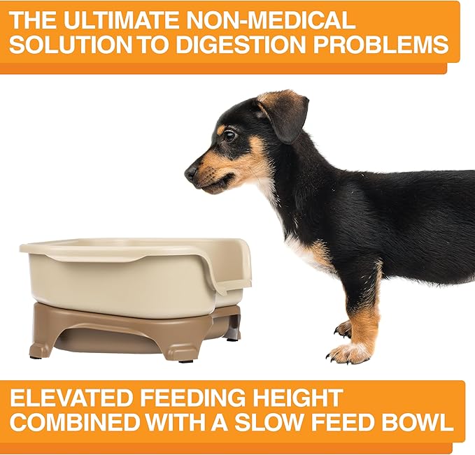 Neater Feeder