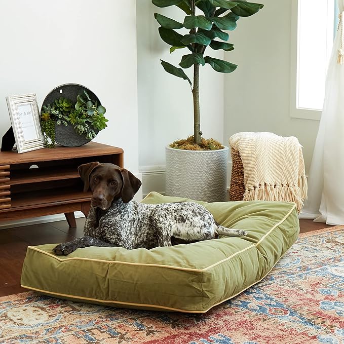 Buster Reversible Rectangle Pillow Style Dog Bed (42 x 30 in.)