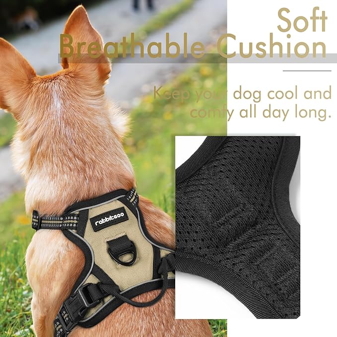 rabbitgoo Dog Harness 2 Leash