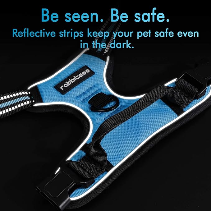 rabbitgoo Dog Harness 2 Leash
