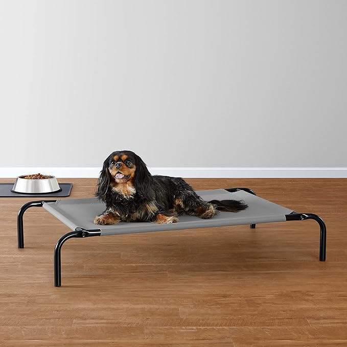 Amazon Basics Cooling Elevated Dog Bed with Metal Frame 35.6"L x 21.8"W x 7.7"Th