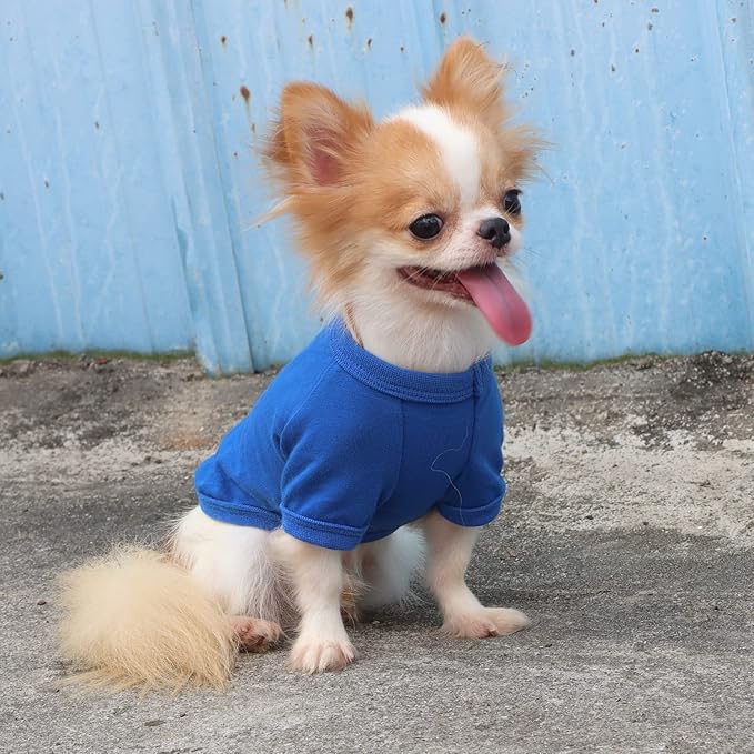 LOPHIPETS 100% Cotton Dog Tee Shirt for Small