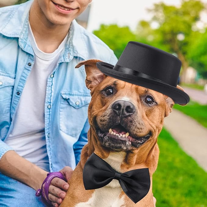 Yewong 2 Pieces Pet Formal Accessories Set