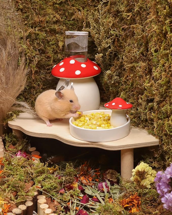 Niteangel Hamster Snack & Treats Toy