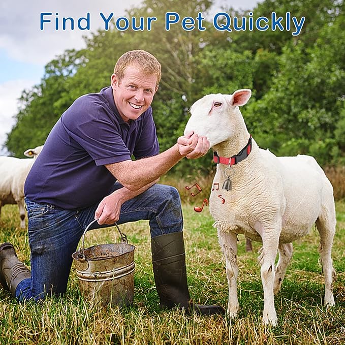 5 Pack Goat Collar with Bell