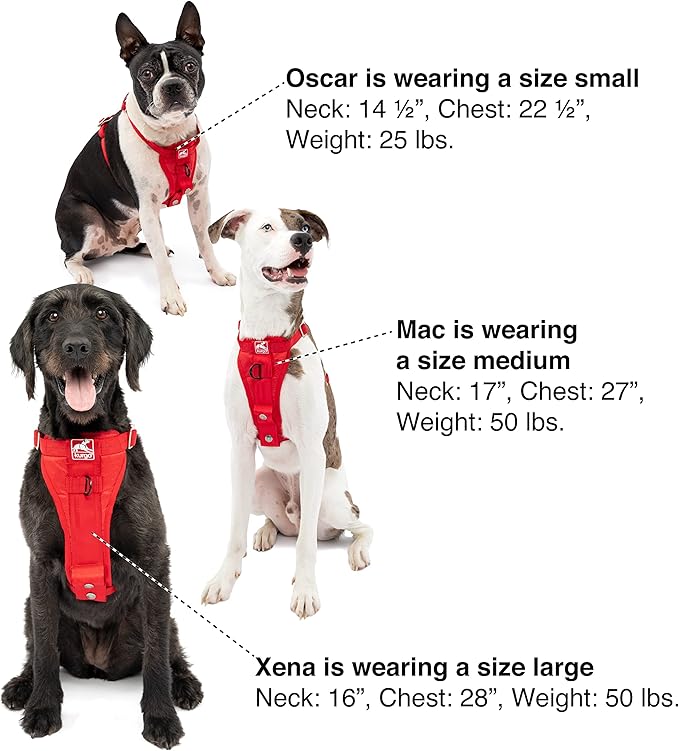Kurgo Tru-Fit Enhanced Strength Dog Harness