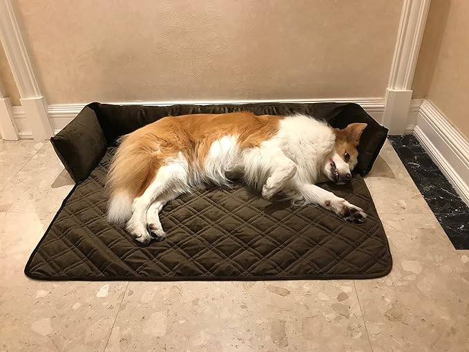 Brilliant Sunshine Premium Chocolate Silky Velvet Pet Sofa Bed