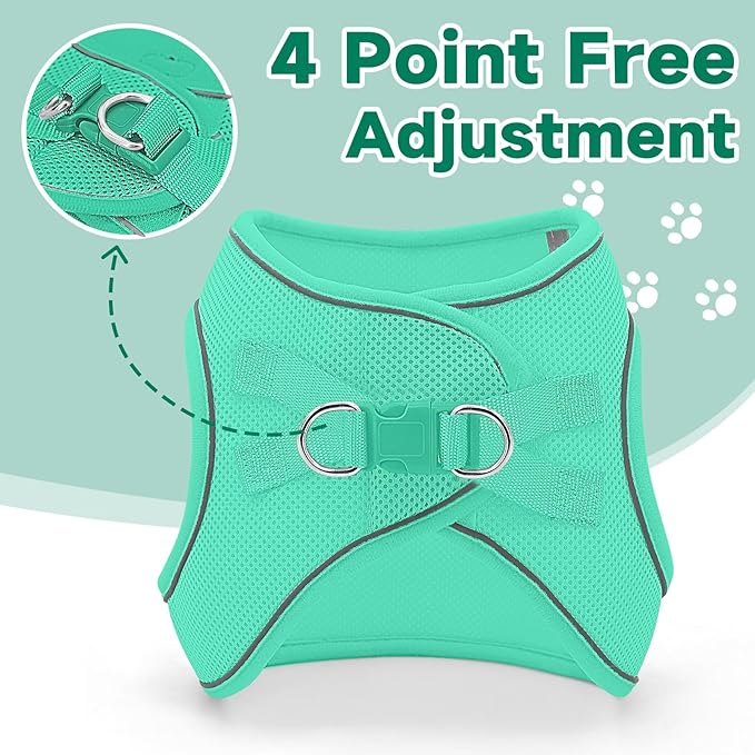 Supet Cat Harness and Leash Set for Walking