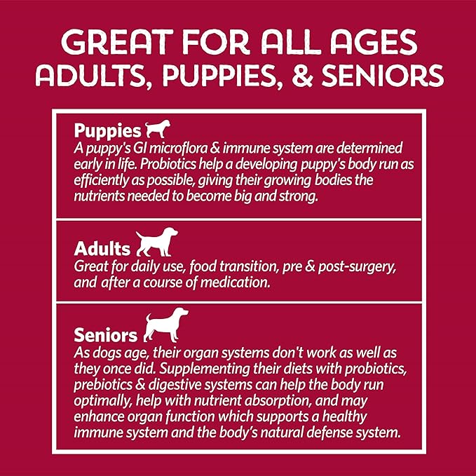 Good Guts for Medium Mutts Probiotic for Dogs 6 Billion 11 Strains, 5 Digestive 2 Prebiotics, (30 Days)