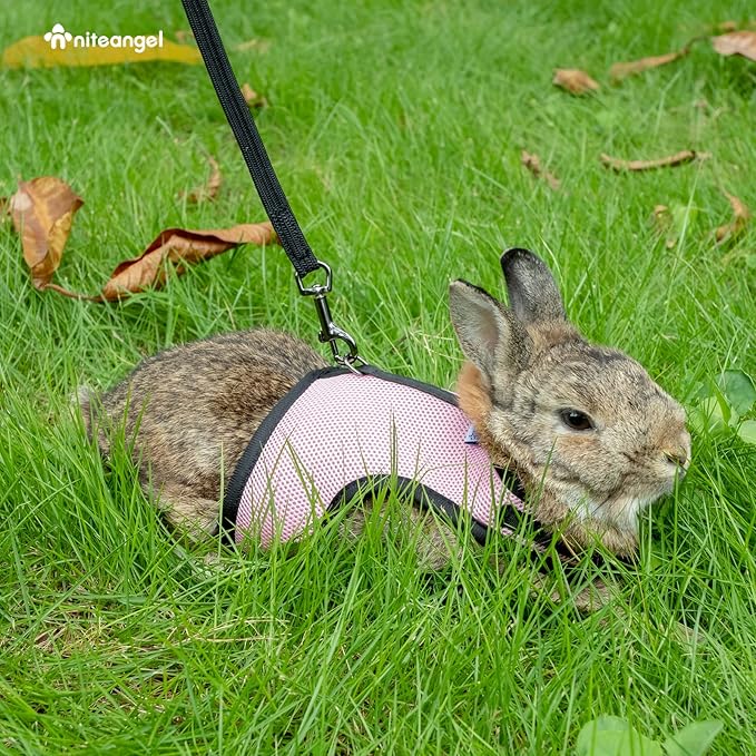 Niteangel Adjustable Soft Harness with Elastic Leash for Rabbits (S