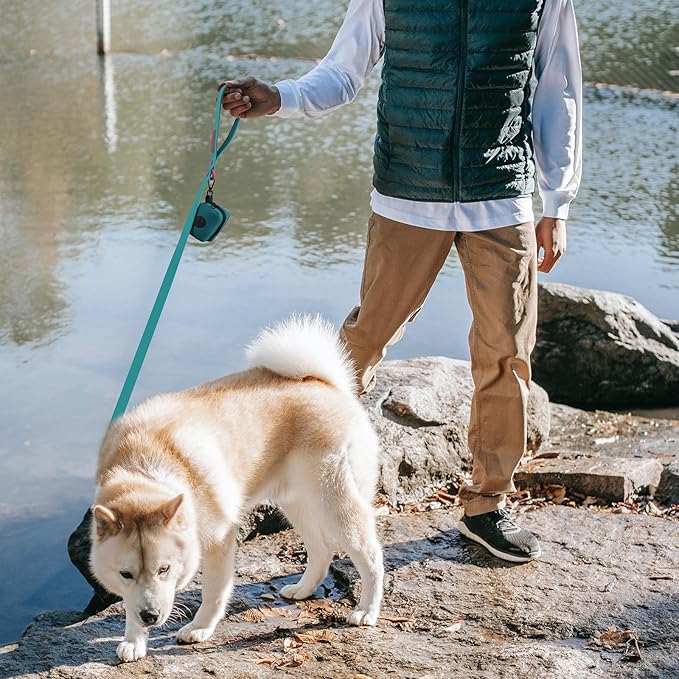 Waterproof Dog Leash Carabiner Leash for Dogs Soft 6ft*25mm*2.5mm Viridian