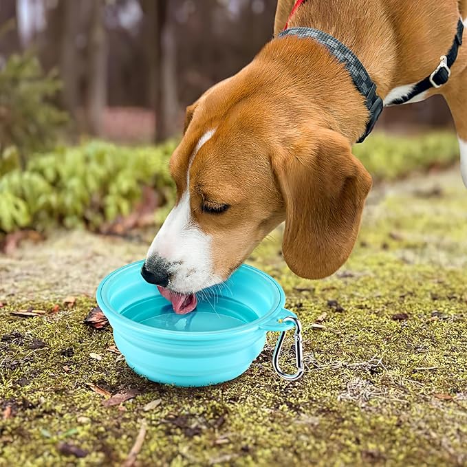 KXK Collapsoble Dog Bowls for Travel 2-Pack Dog
