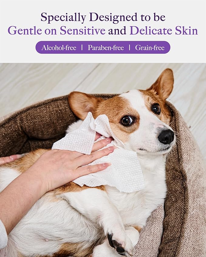 HICC PET Pet Wipes Cleaning Deodorizing for Dogs & Cats 100 Counts