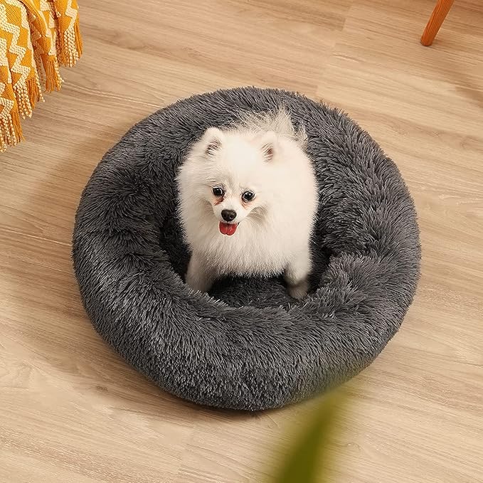 Geizire 20 inch Cat Bed Dog Bed for Cats