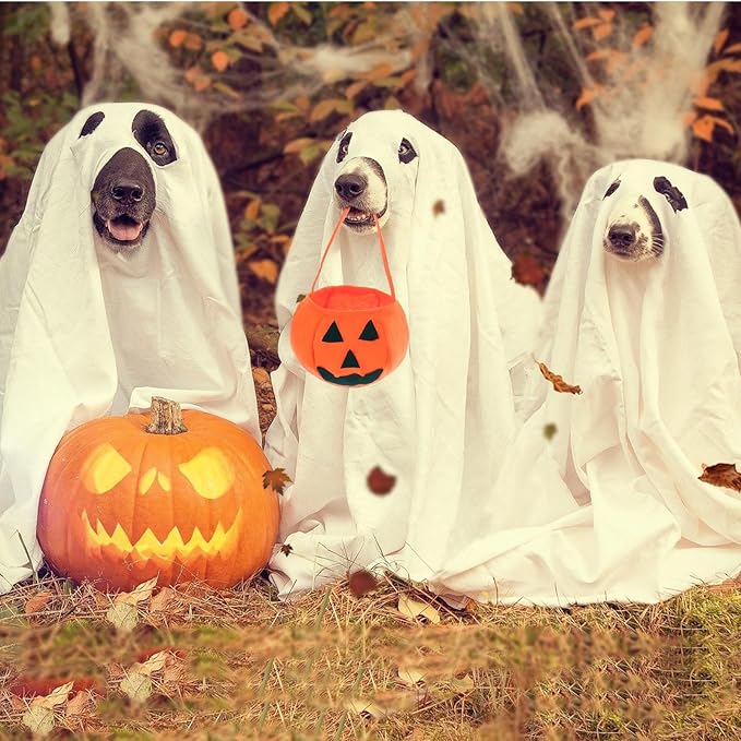 Mity rain Dog Halloween Costumes (28Pounds), Funny