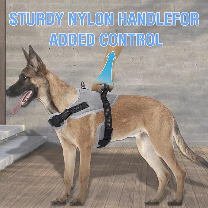 Tactical Dog Harness for Large Dogs