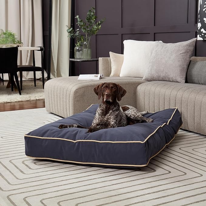 Buster Reversible Rectangle Pillow Style Dog Bed (48 x 36 in.)