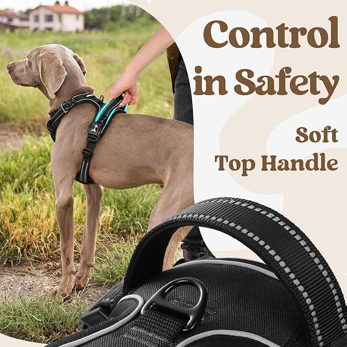 rabbitgoo Dog Harness Medium Sized 3 Buckles,