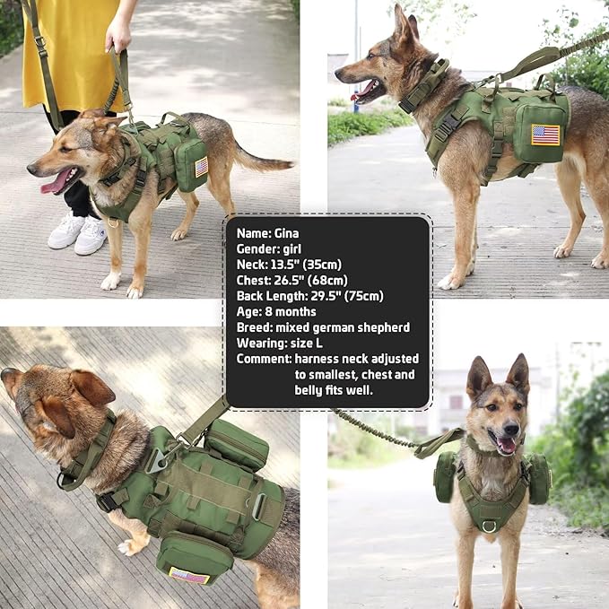 Forestpaw Tactical Dog Harness for Large Dogs
