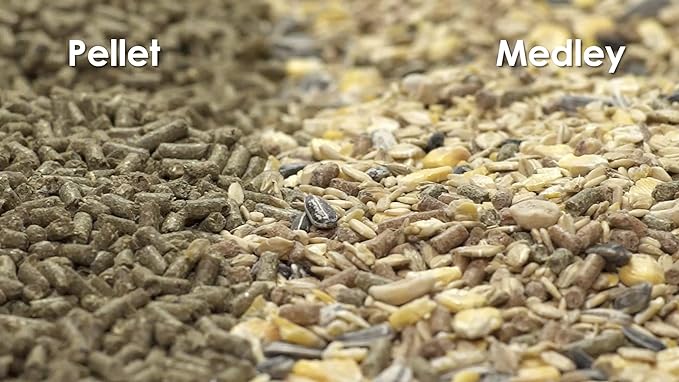 Kaytee Fiesta Guinea Pig Food 25 lb