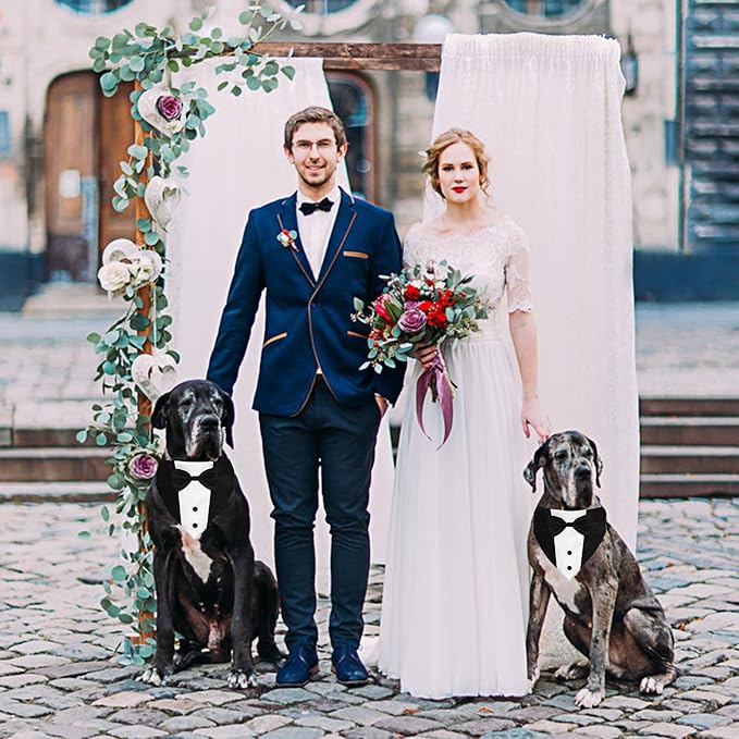 Dog Tuxedo Dog Suit Dog Wedding Bandana Collar with Bow Tie 15”-25”)