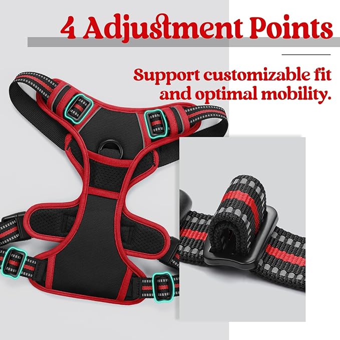 rabbitgoo Dog Harness 2 Leash